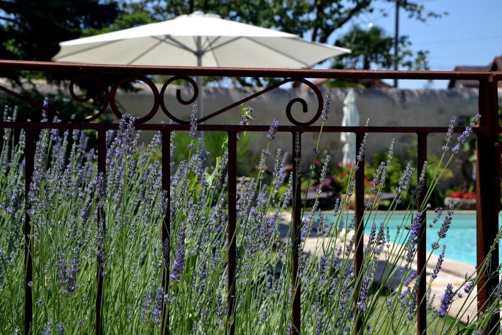 La Baguenaude Bed and Breakfast Marciac Eksteriør billede